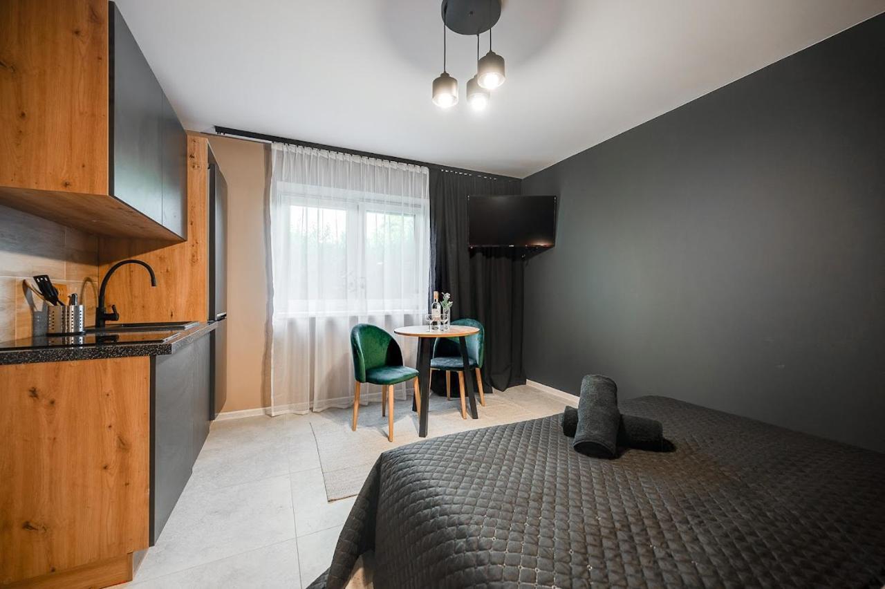 Loft House Apartment Studio z ogródkiem 1 Rybnik  Zewnętrze zdjęcie